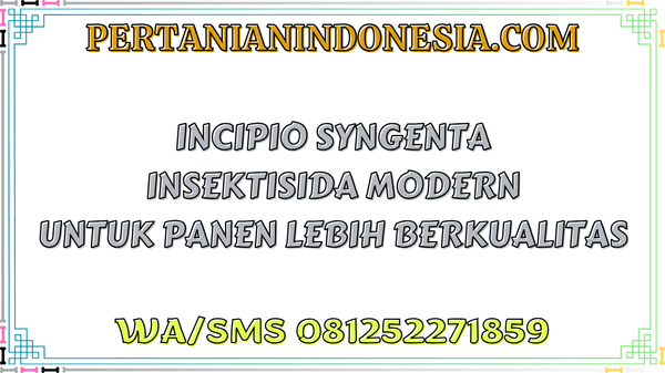 Incipio Syngenta Insektisida Modern Untuk Panen Lebih Berkualitas